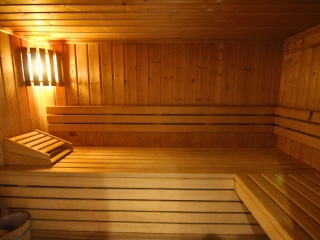13 Chalet Alpaka Chatel Sauna