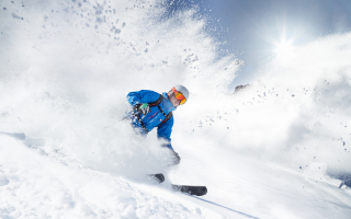 ski action shutterstock 329436356 small